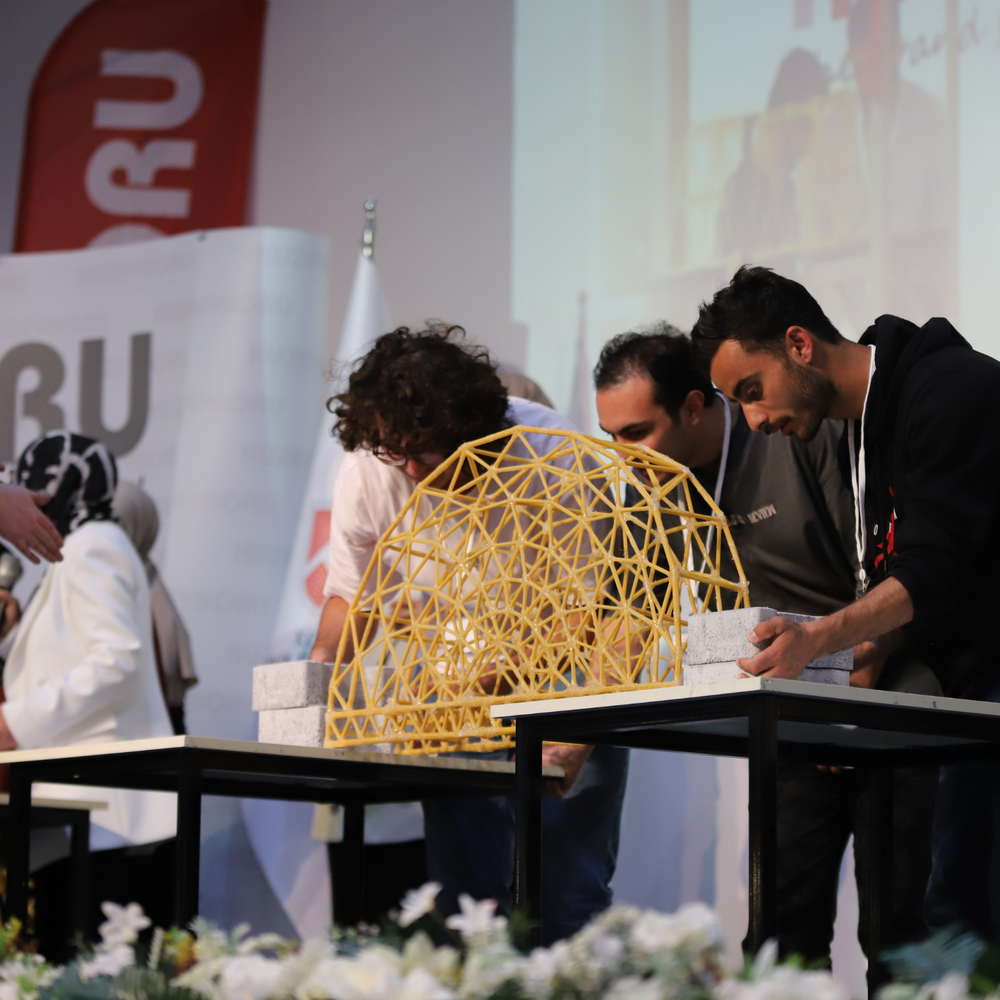 Impactul social 4 cubuk makarna (2)