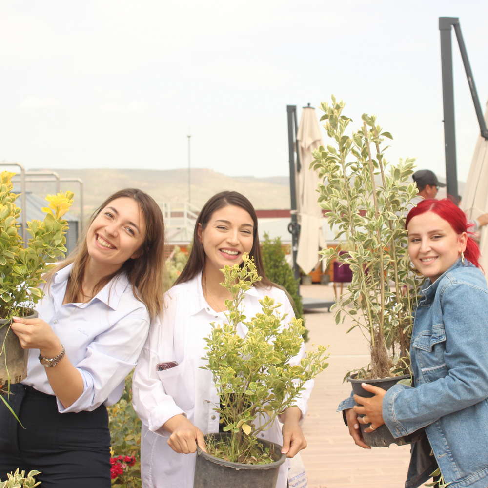 Impactul social 8 etkınlık