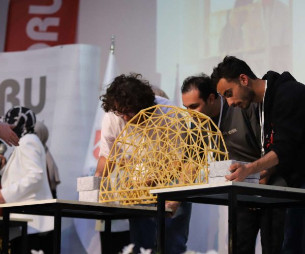 Impactul social 4 cubuk makarna (2)