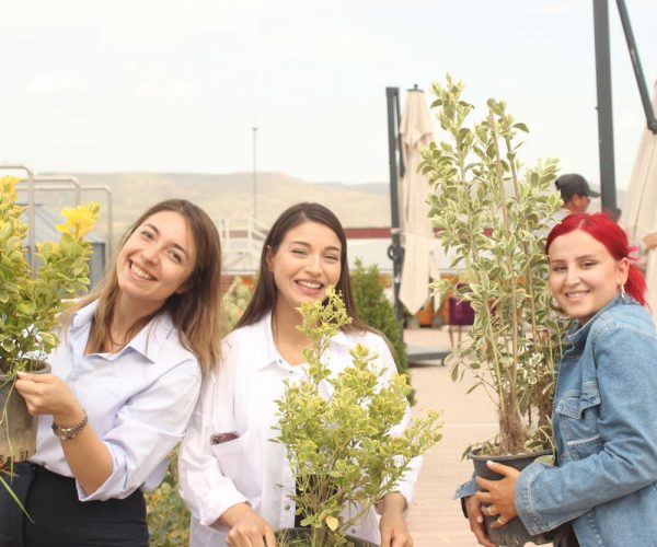 Impactul social 8 etkınlık